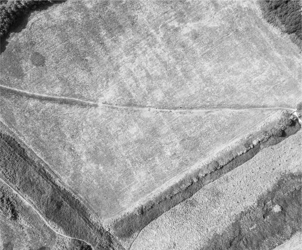 Aerial view of a large grassy field intersected by a diagonal dirt path; trees line the edges of the field. Black and white.
